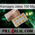 Kamagra Jelly 100 Mg new13